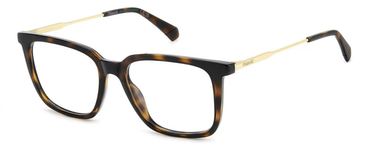 Polaroid Core PLDD565 Eyeglasses